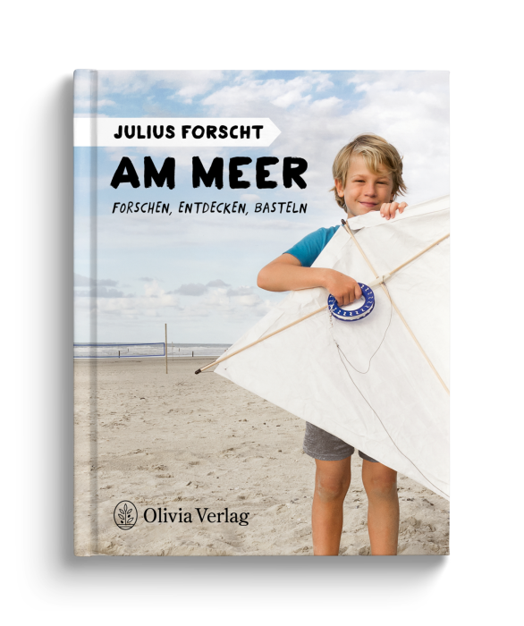 Julius forscht – Am Meer