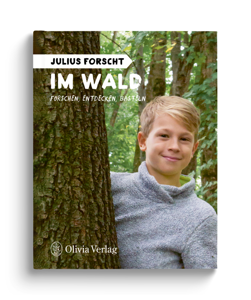Julius forscht – Im Wald