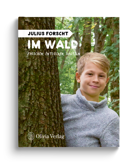 Julius forscht – Im Wald